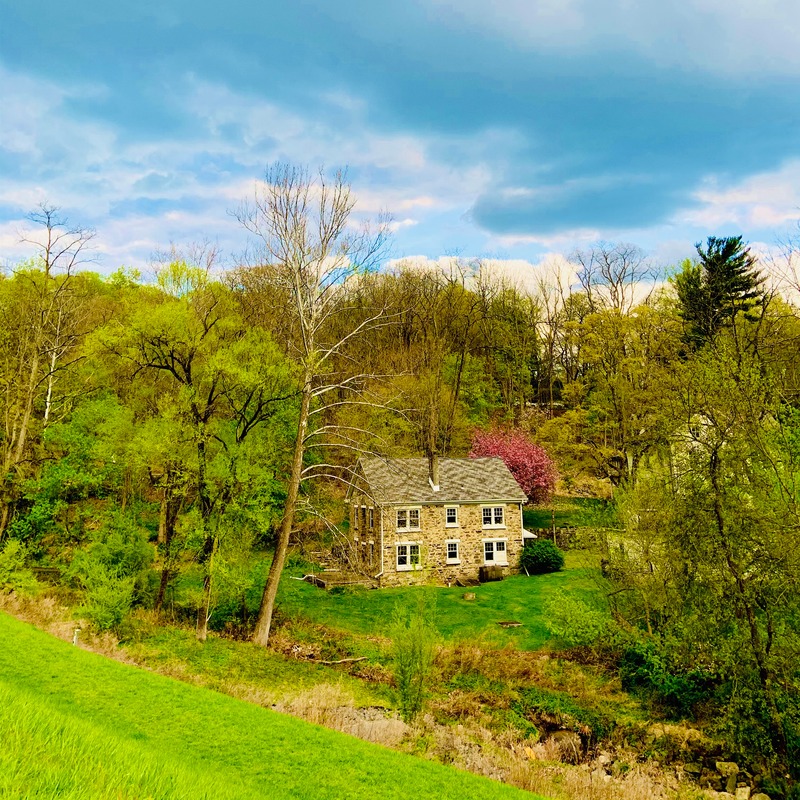 Stone farmhouse surrounded by spring woodland in Sussex County